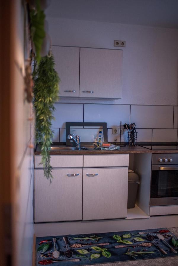 Ferienwohnung Gipfelblick Willingen (Upland) Exterior foto